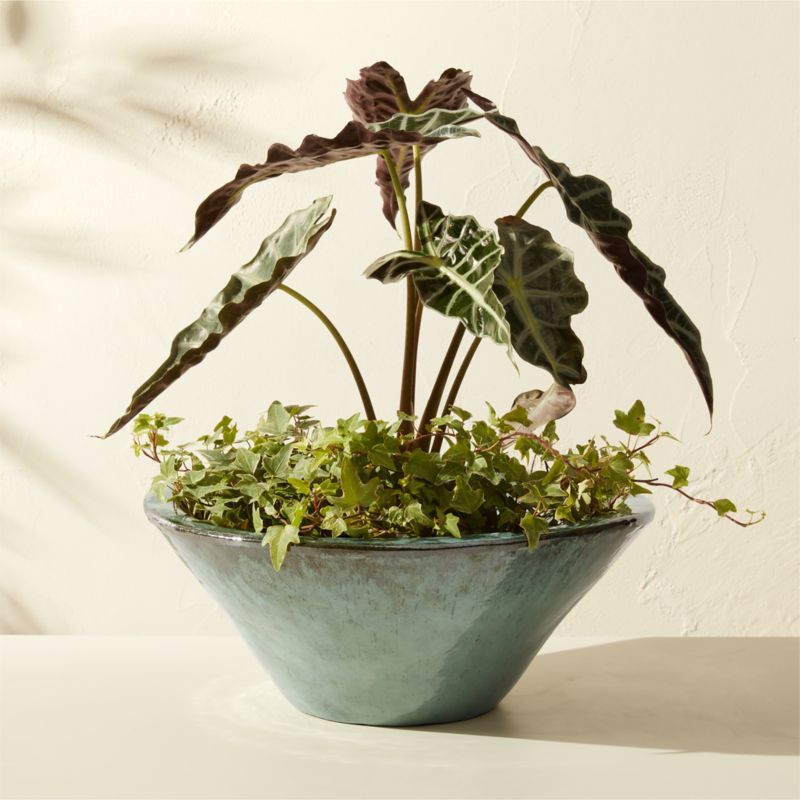 Favana Green Reactive Glazed Ceramic Indoor/Outdoor Planter Bowl Large | CB2 added by Spoak Member