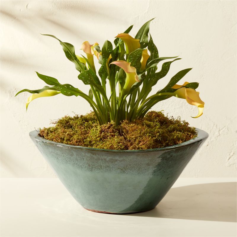 Favana Green Reactive Glazed Ceramic Indoor/Outdoor Planter Bowl Small | CB2 added by Spoak Member