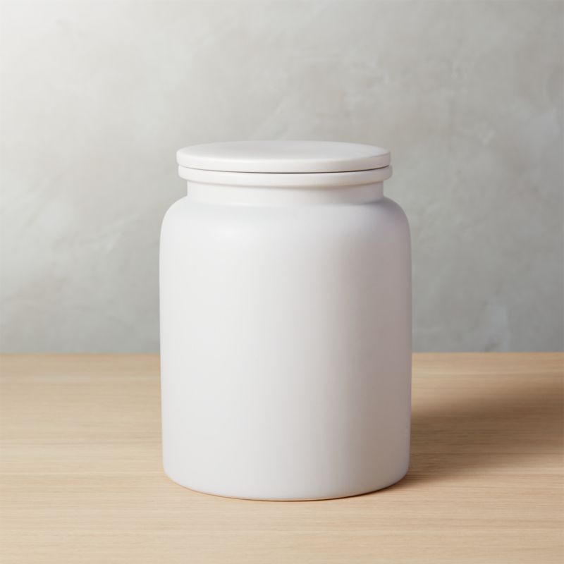 Modern Prep Light Grey Large Canister + Reviews | CB2 added by Spoak Member