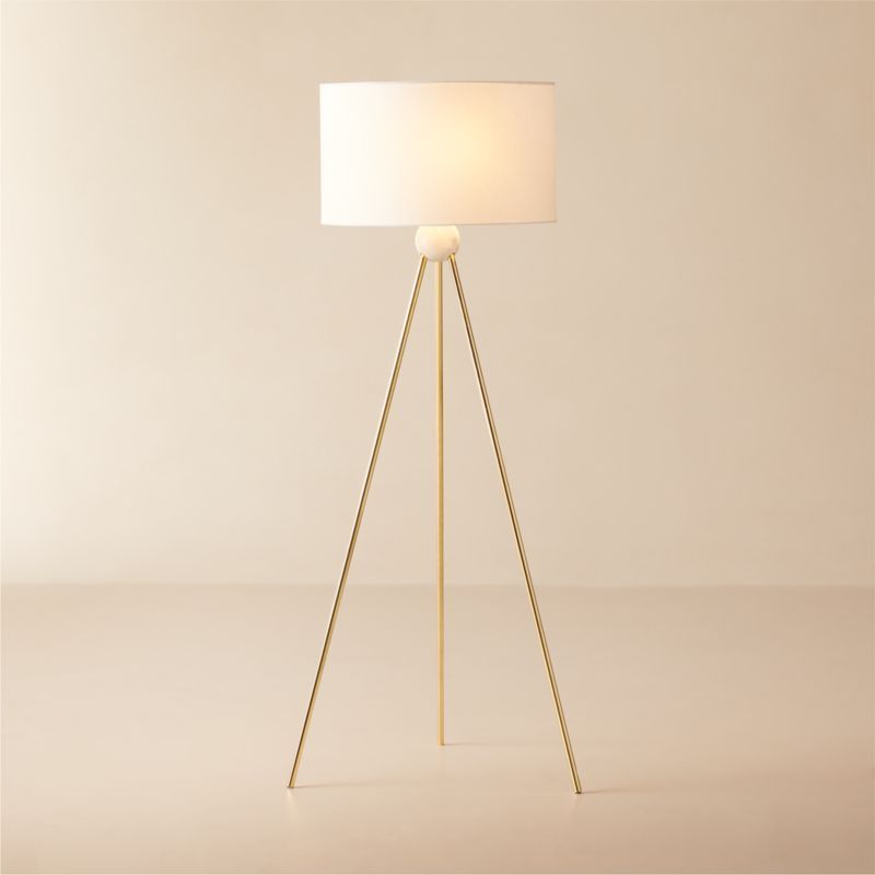 Reeza Brass and Marble Tripod Floor Lamp + Reviews | CB2 added by Spoak Member