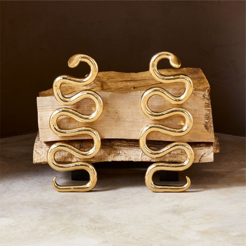 Polished Brass Snake Fireplace Andirons Set of 2 + Reviews | CB2 added by Spoak Member