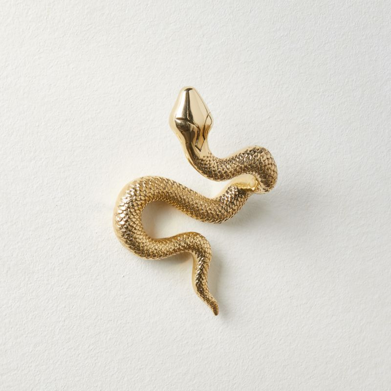 Modern Unlacquered Brass Snake Wall Hook + Reviews | CB2 added by Spoak Member