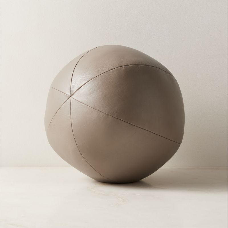 Terre Taupe Leather Sphere Throw Pillow 12" + Reviews | CB2 added by Spoak Member