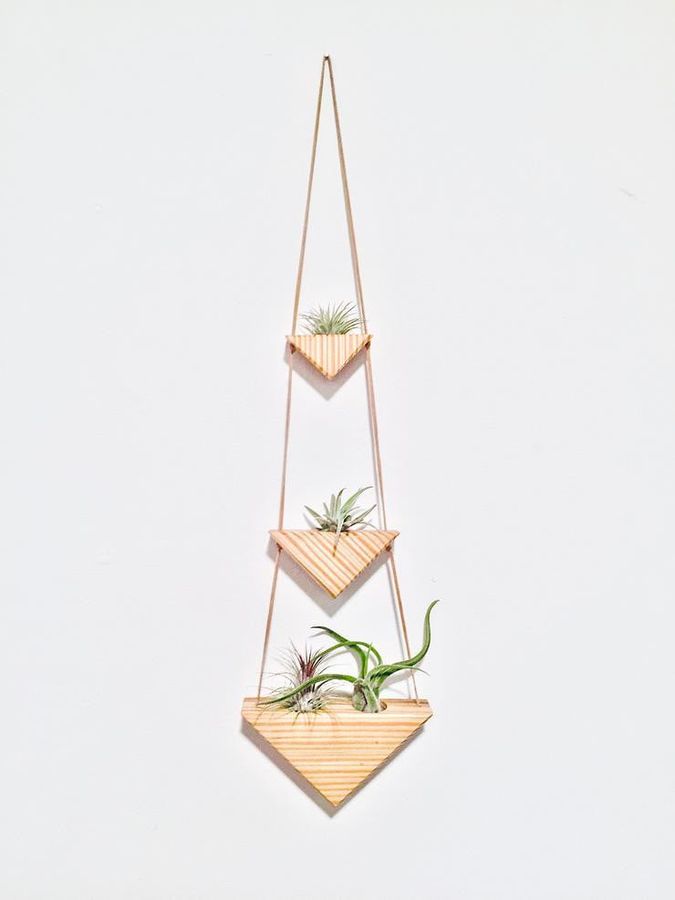 Triple Triangle Air Plant Wall Hanging - Air Plants Included added by Spoak Member