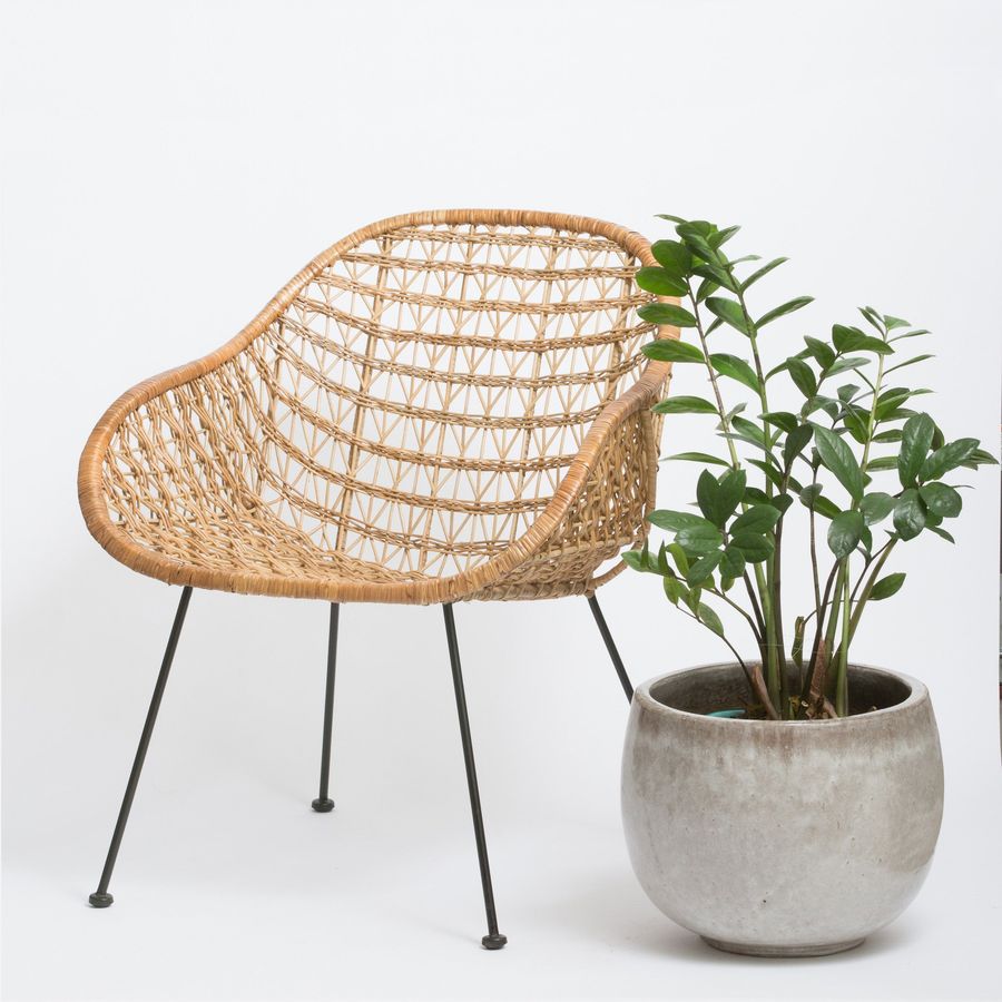 Comet Basket Chair added by Spoak Member