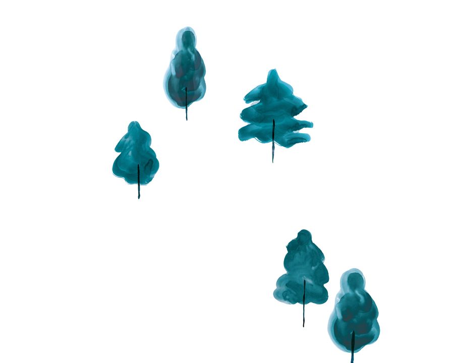 Juniper Wallpaper added by Spoak Member