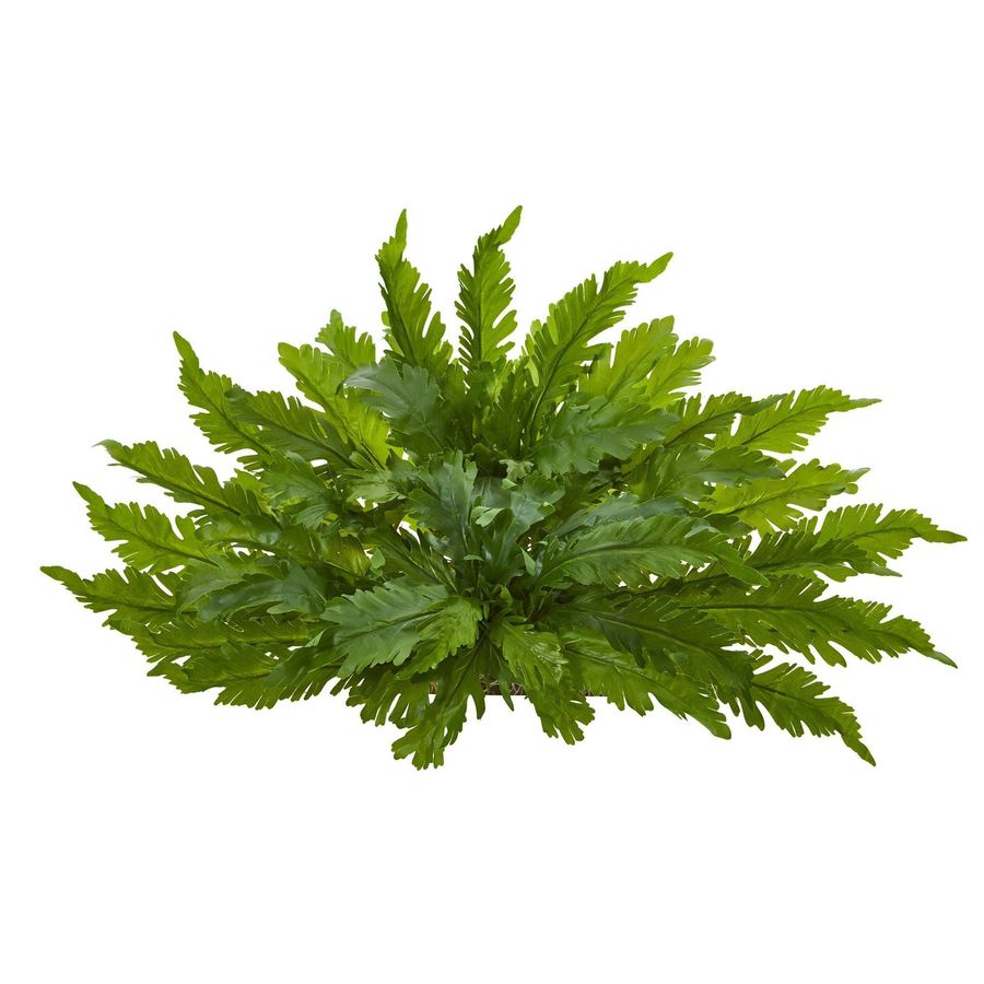 26” Fern Artificial Ledge Plant added by Spoak Member