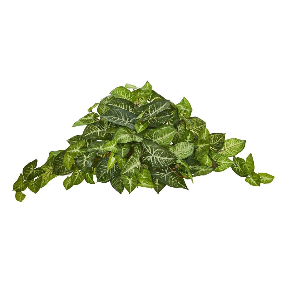 36” Nephthytis Artificial Ledge Plant added by Spoak Member