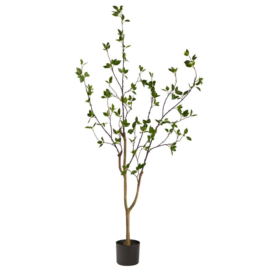 5’ Minimalist Citrus Artificial Tree added by Spoak Member