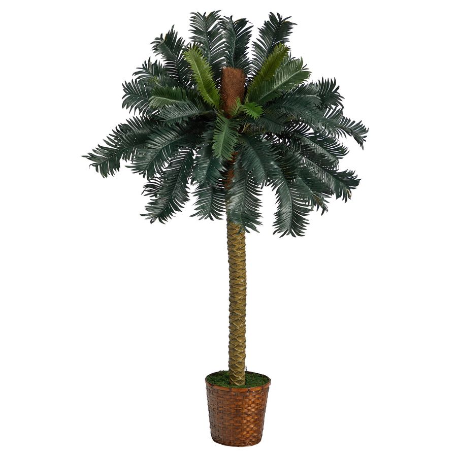 5’ Sago Palm Artificial Tree in Basket added by Spoak Member