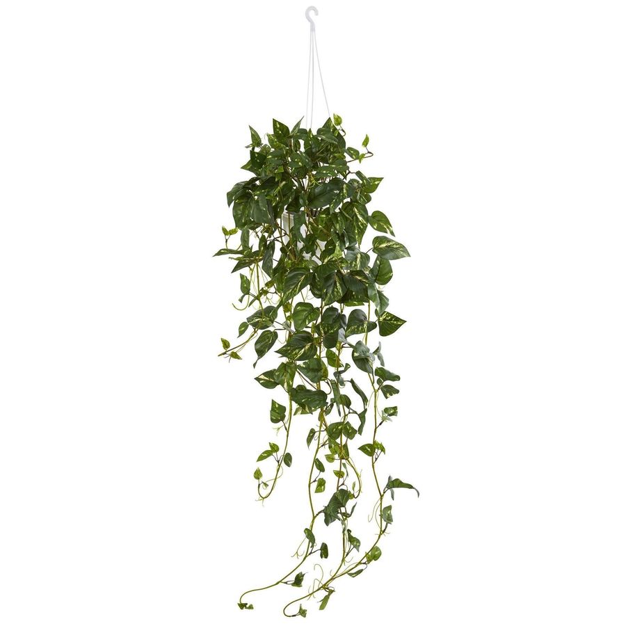 Pothos Hanging Basket Artificial Plant added by Spoak Member