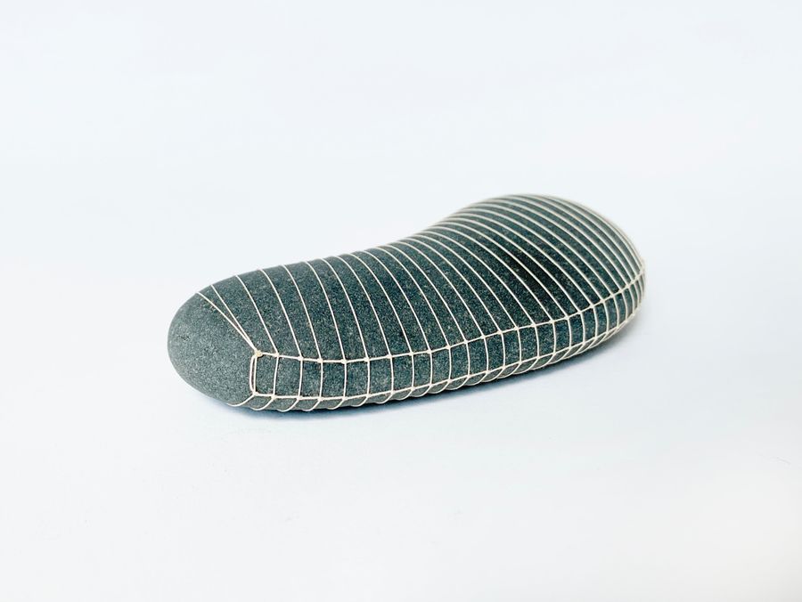 Black Long Bean added by Spoak Member
