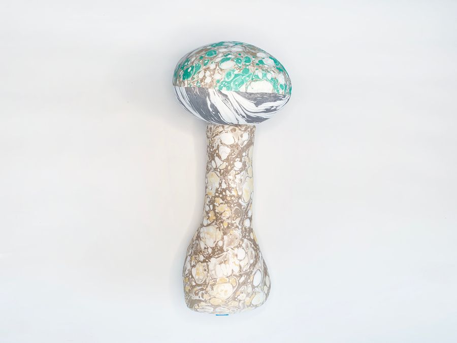Large Mushroom Pillow added by Spoak Member