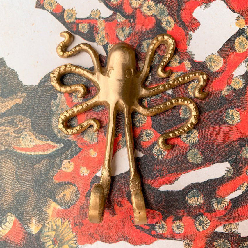 Ella Octopus Hook added by Spoak Member