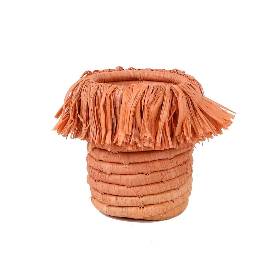 Peach Fringed Brush Cup added by Spoak Member