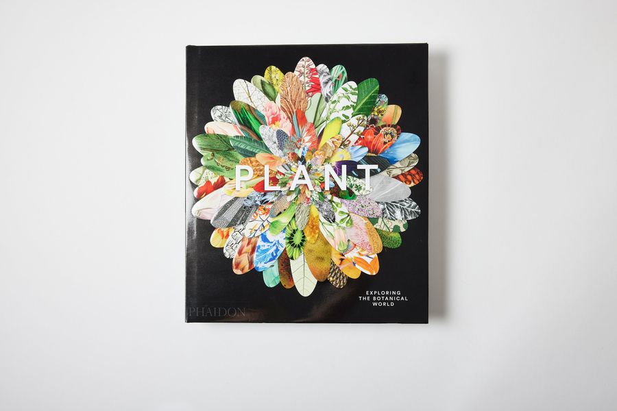 PLANT: Exploring the Botanical World added by Spoak Member