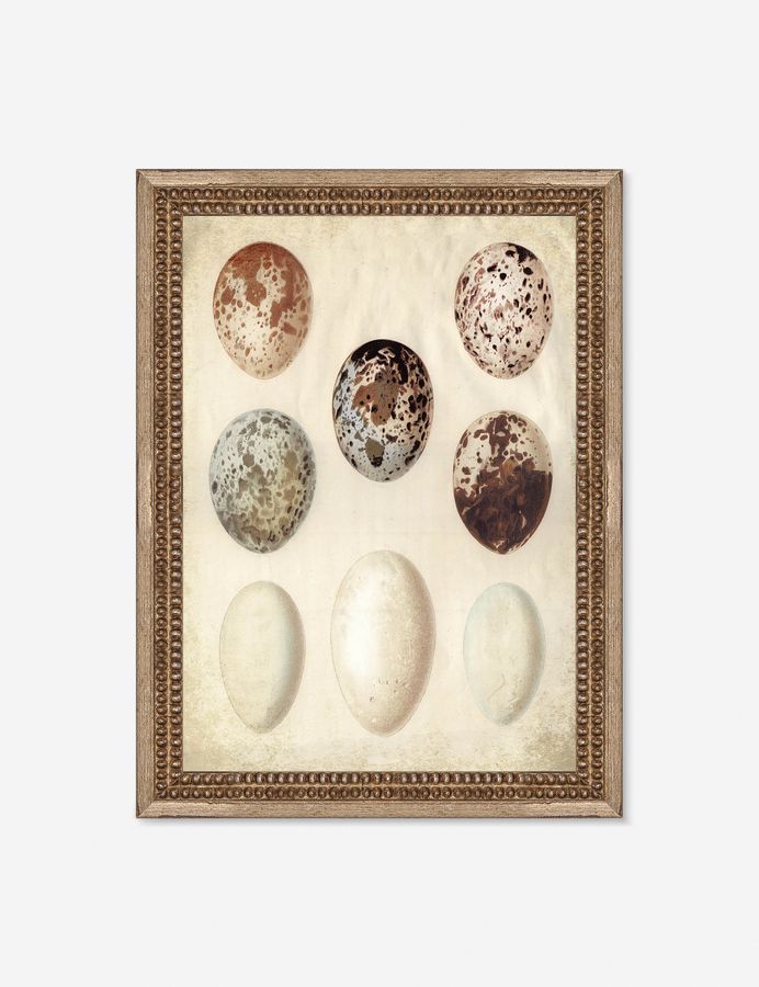 Speckled Egg I Wall Art by Helen Parker added by Spoak Member