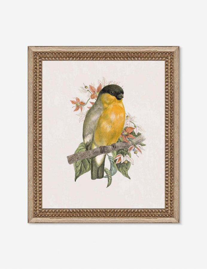 Wings of Wonder Wall Art by Lilly Kinsey added by Spoak Member
