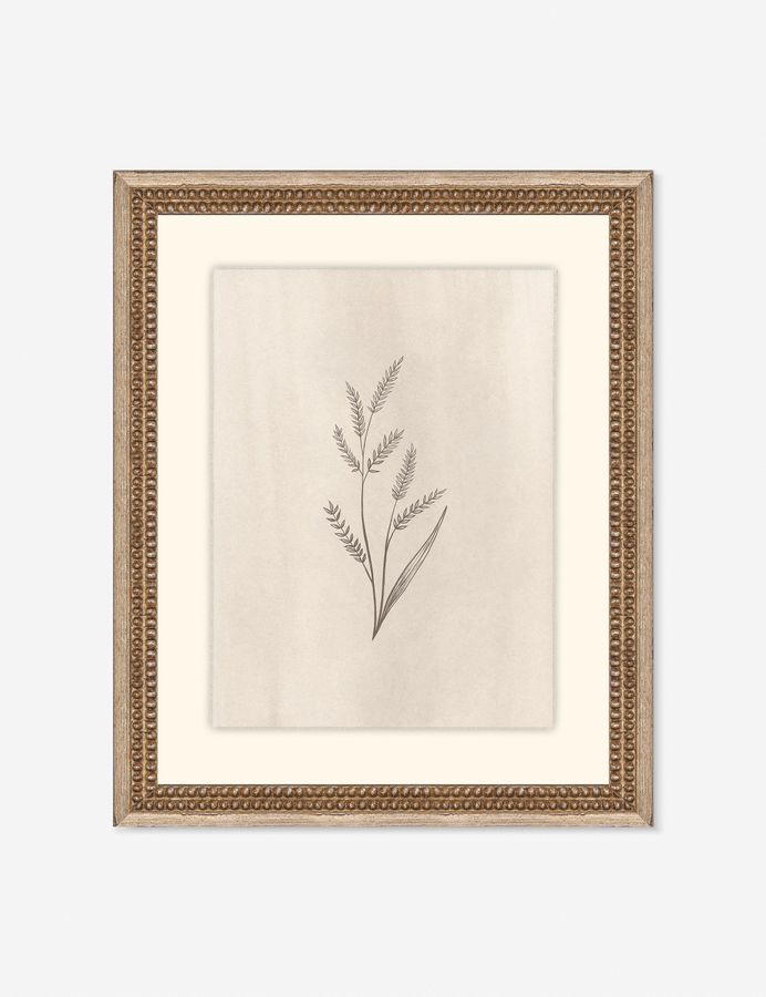 Elegant Botanical II Wall Art by Makai Howell added by Spoak Member