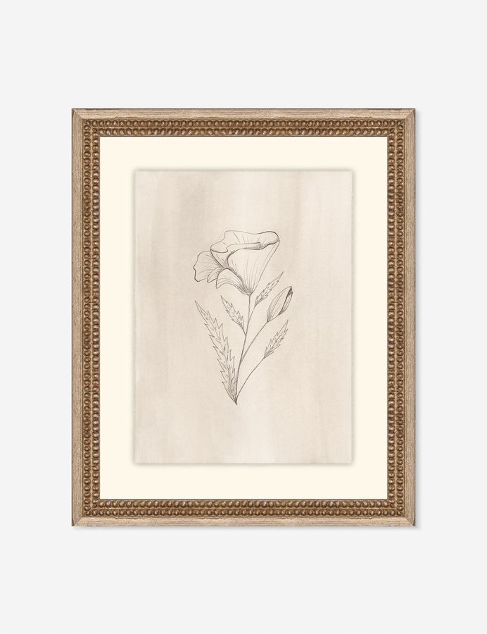 Elegant Botanical III Wall Art by Makai Howell added by Spoak Member