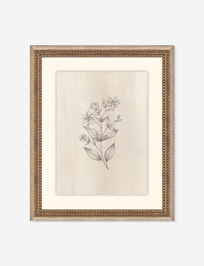 Elegant Botanical VII Wall Art by Makai Howell added by Spoak Member