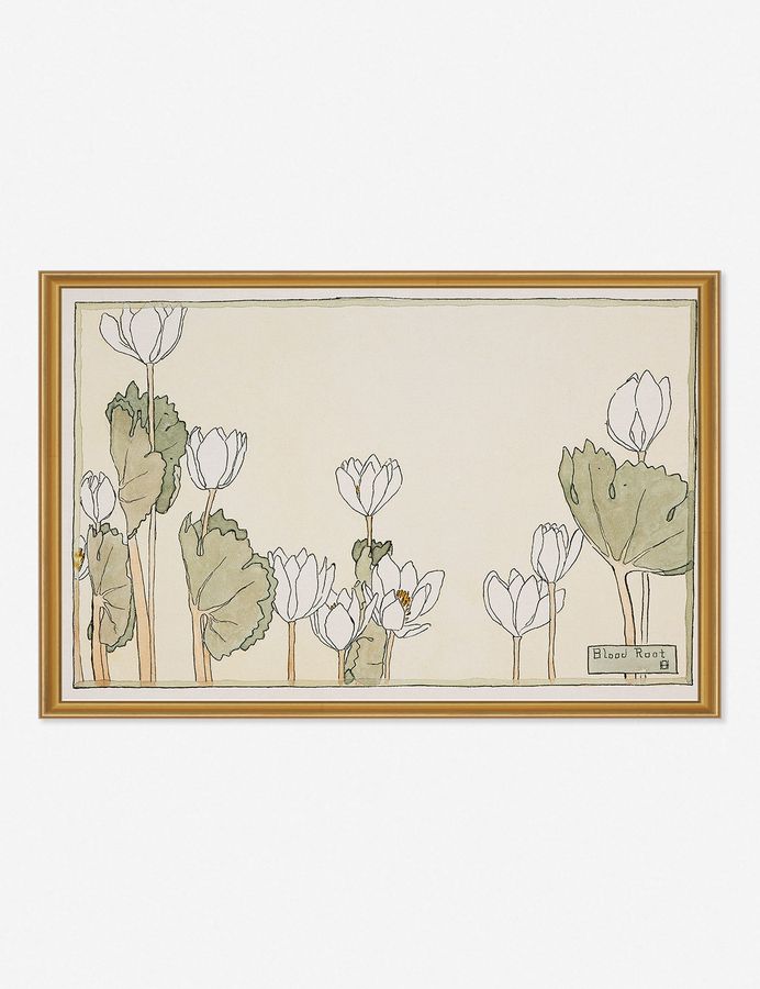 Blood Root Print by Hannah Borger Overbeck added by Spoak Member