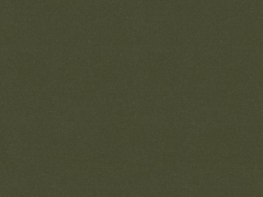 Moss Luxe Velvet Fabric Swatch added by Spoak Member