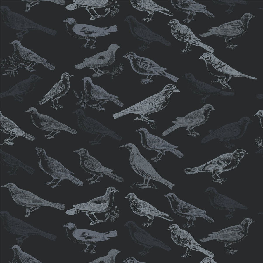 Tweeter - Black Wallpaper - Mitchell Black Signature added by Spoak Member