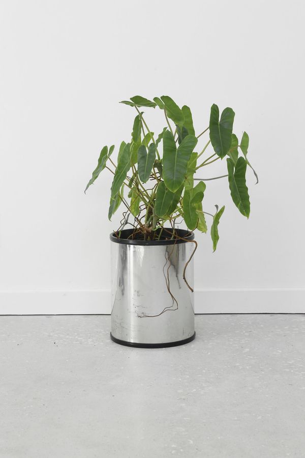 Cylinder Chrome Planter added by Spoak Member