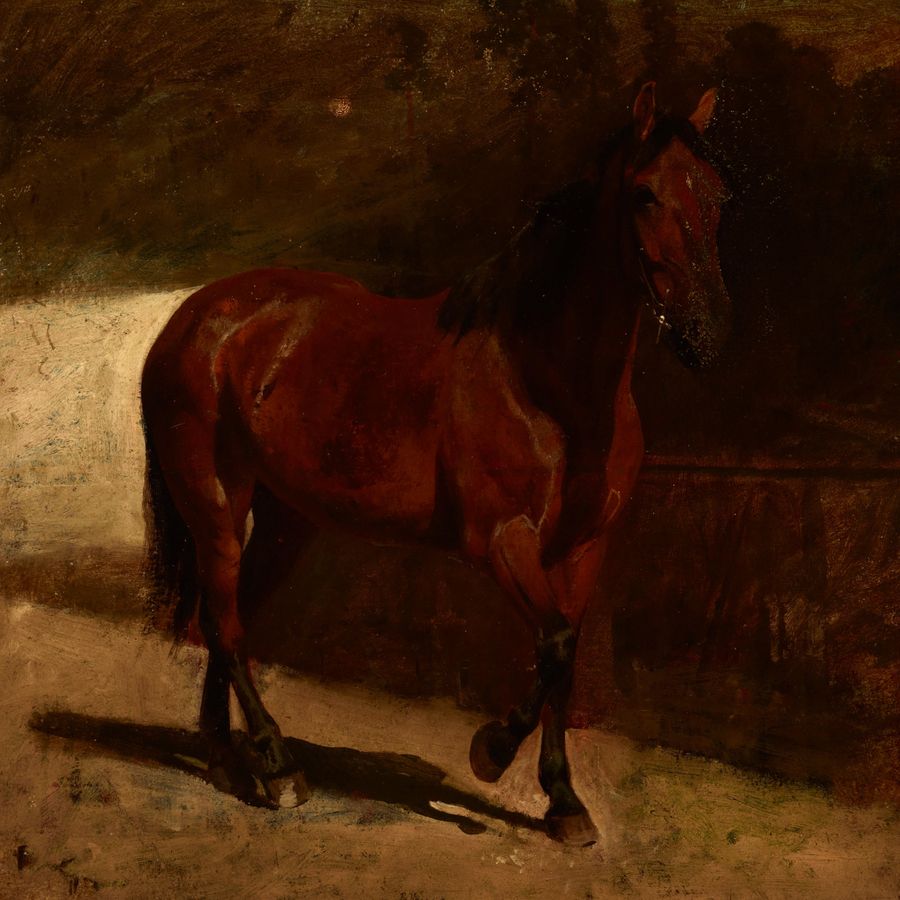 Study of a Chestnut Horse Print, 1872 added by Spoak Member