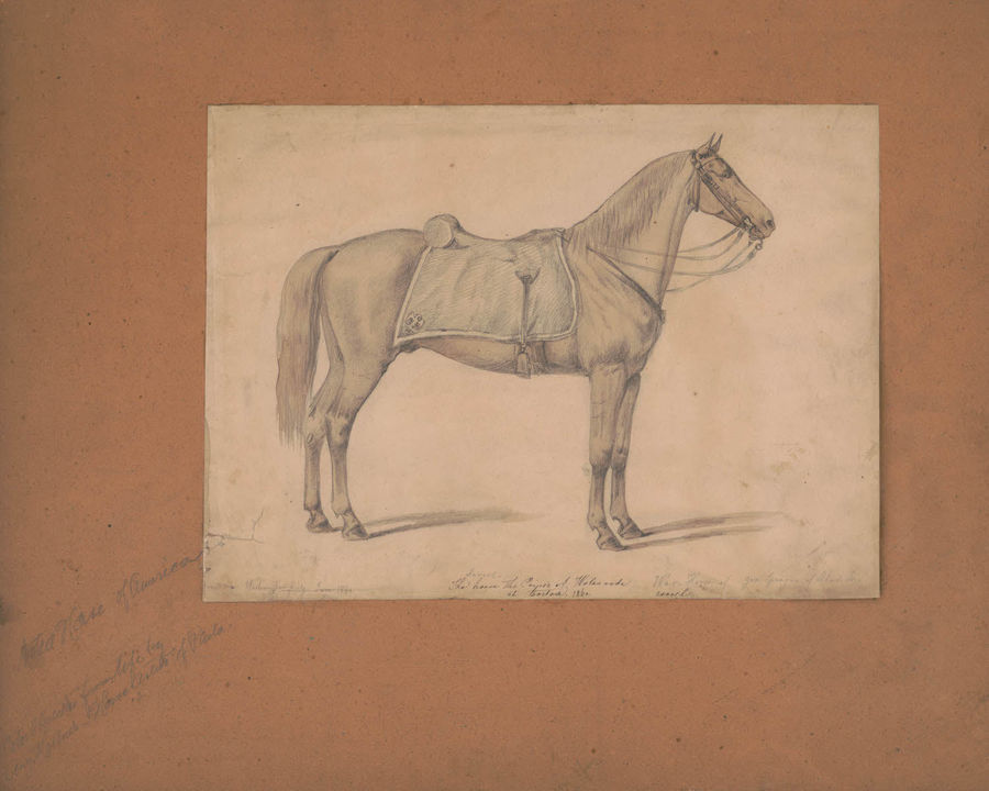 The Royal Sorrel Horse Print, 1860 added by Spoak Member