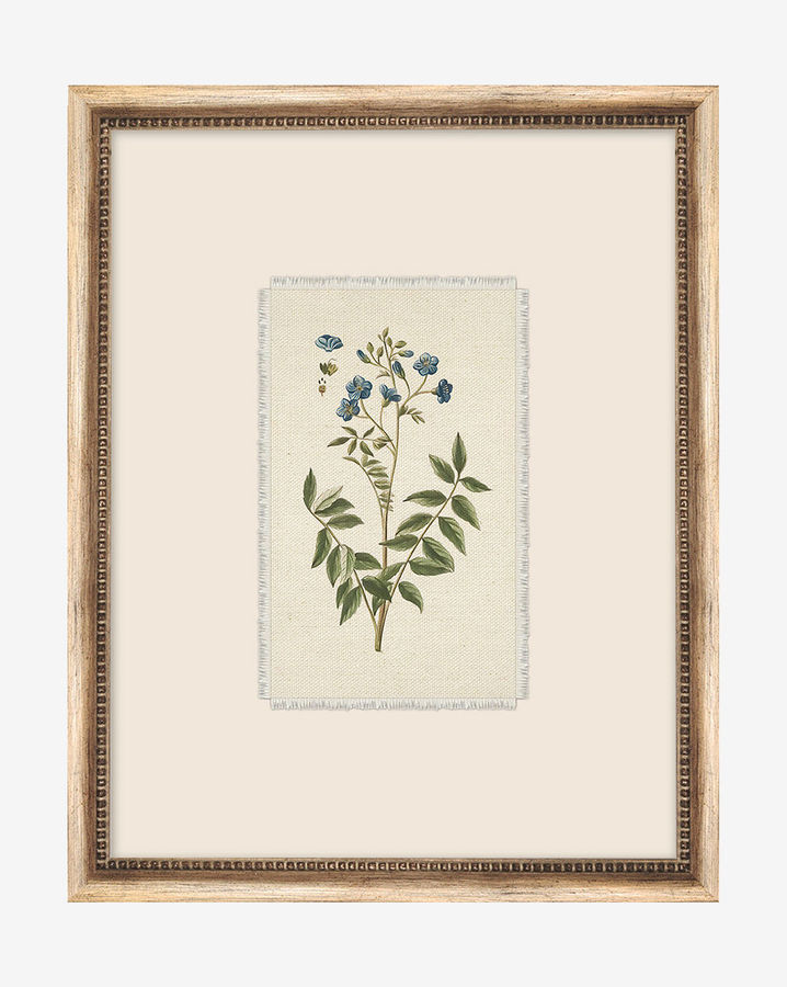 Delicate Floral l added by Spoak Member