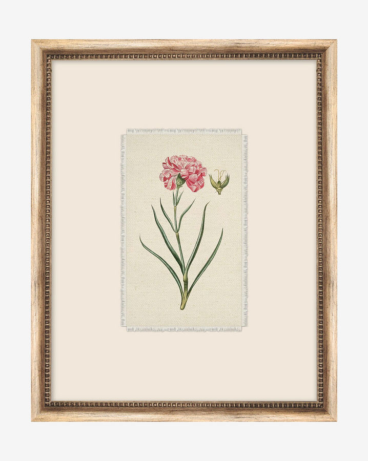 Petite Floral VIII added by Spoak Member