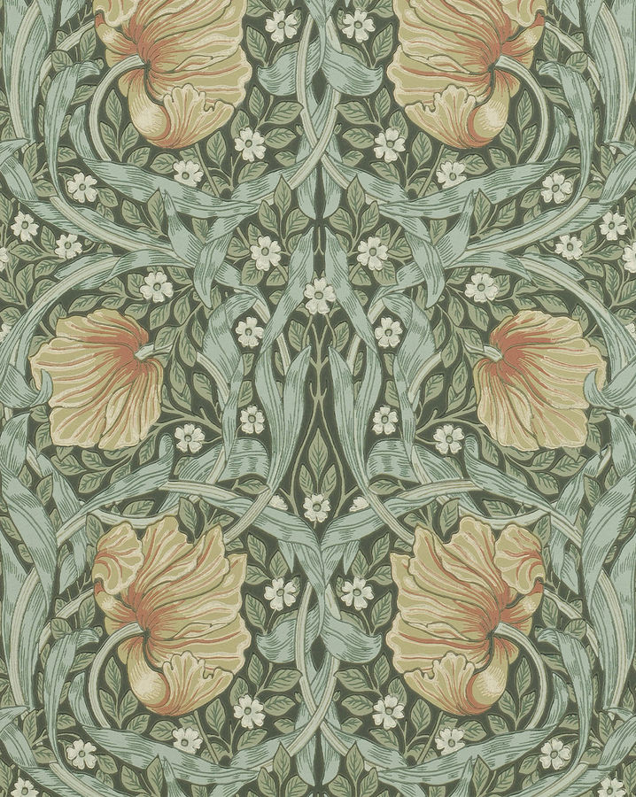 Pimpernel Wallpaper added by Liz Kirby