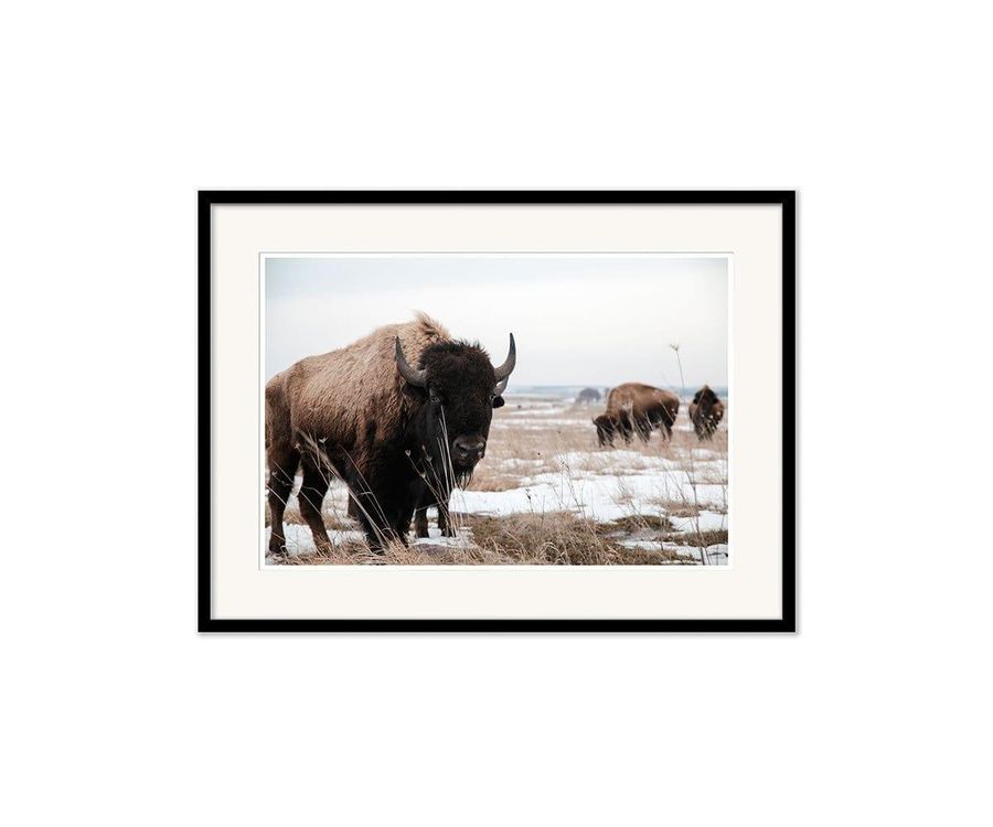 Rustic Retrospective added by Spoak Member