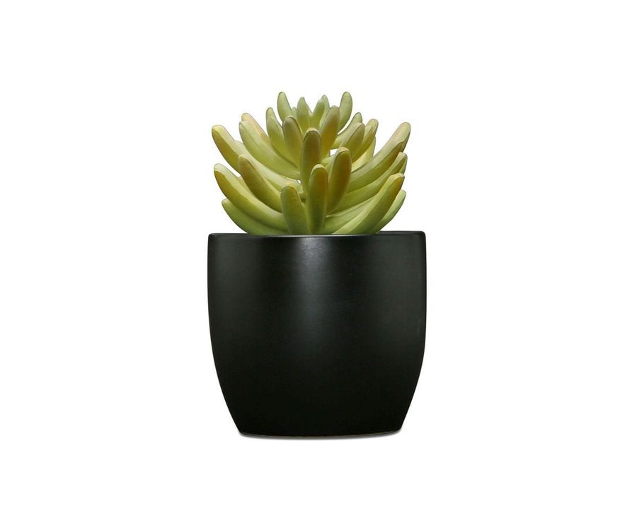 Potted Shelf Faux Succulent added by Spoak Member