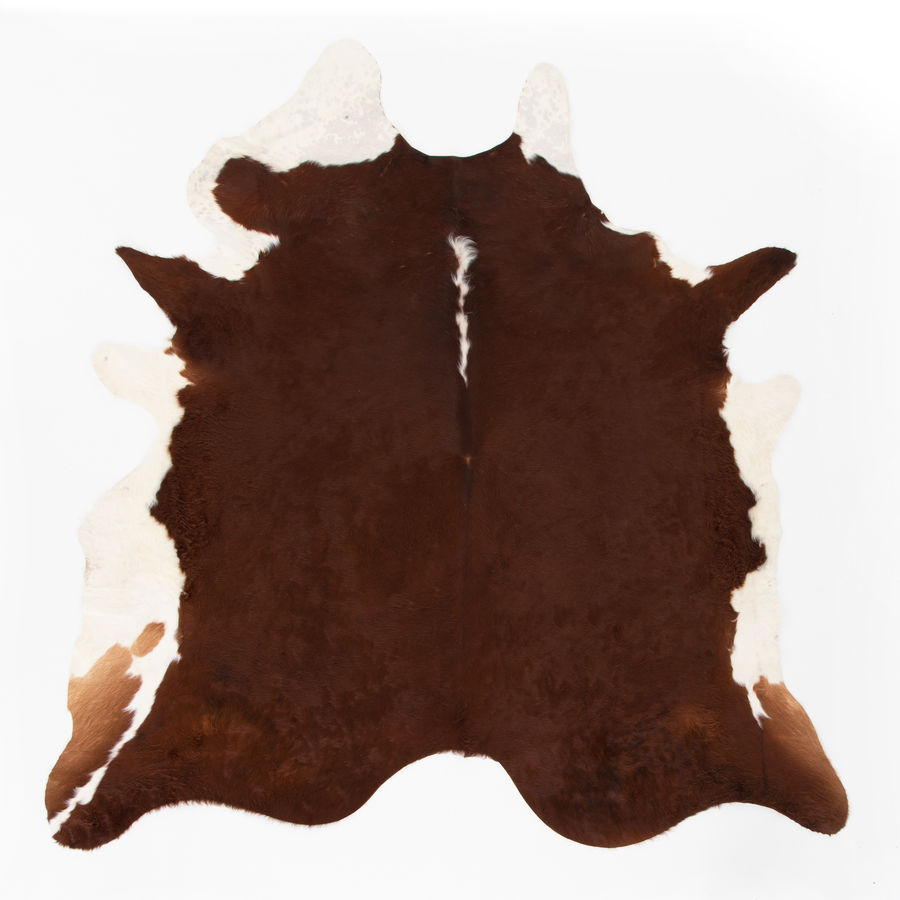 Cowhide Rug added by Spoak Member