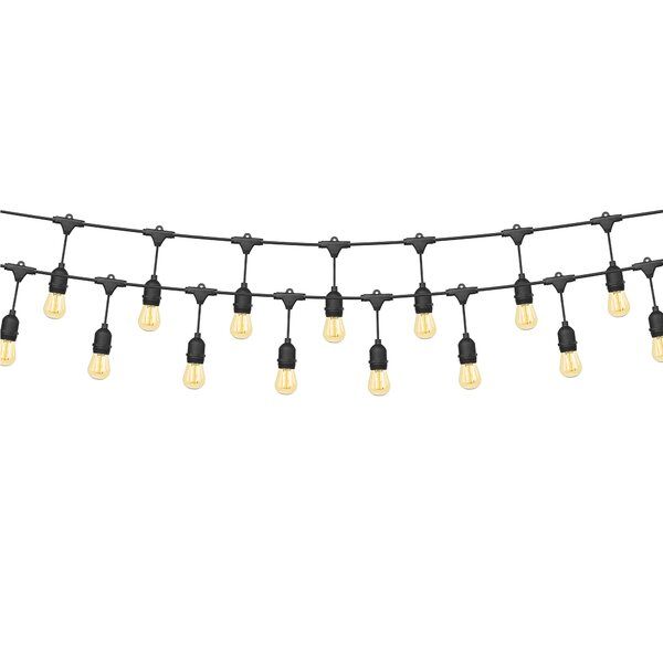 Kayleigha 48'' Outdoor 24 - Bulb Standard String Light added by Chloe Drage