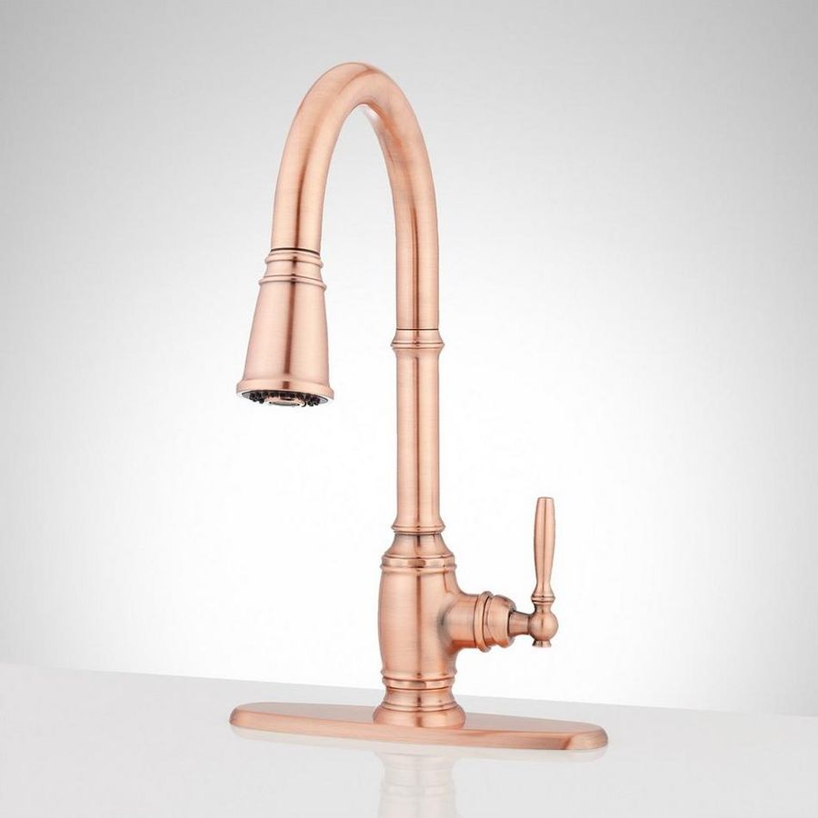 Finnian Pull-Down Kitchen Faucet with Deck Plate added by Caitlin Garzi
