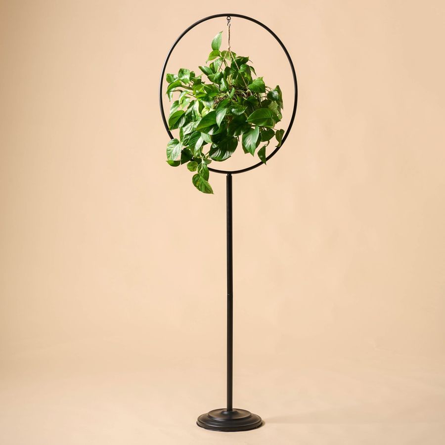 Hayden Plant Stand added by Kelly Edwards