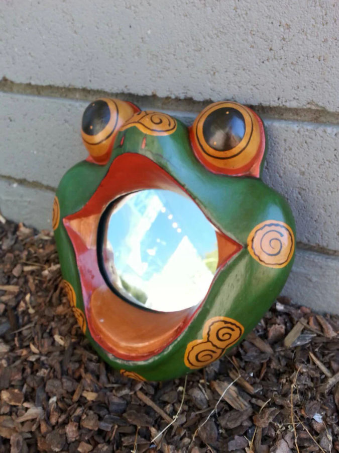 Frog Mirror added by Gina Diaz
