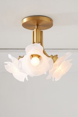 Blossom Flush Mount added by Liz Scott