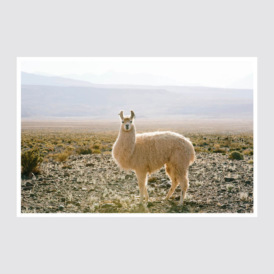 Atacama Desert added by Kirsten Byron