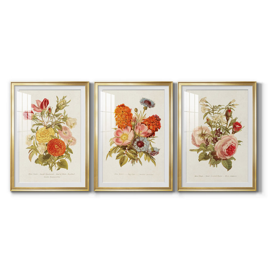 Red Barrel Studio® Antique Floral Bouquet I Premium Framed Print - Ready To Hang | Wayfair added by Jennifer Castillo