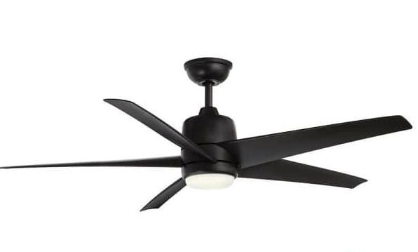 Fan added by Summer Wilson