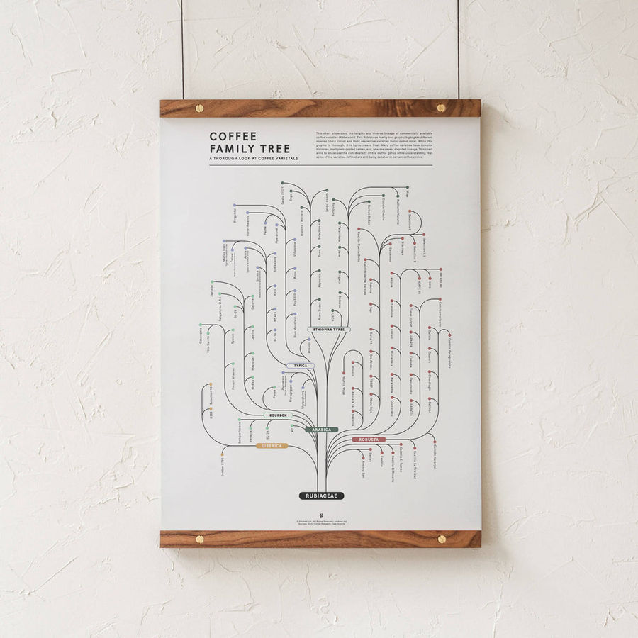 Coffee Family Tree Print added by eyeswoon interior therapy
