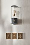 Tala Muse Wall Light added by Abby Phillips