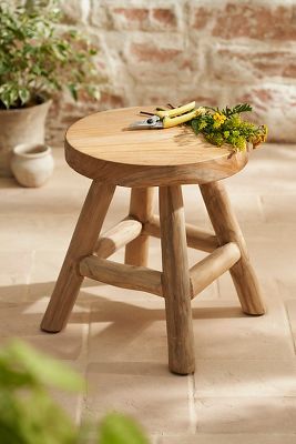 Round Teak Root Stool, Natural added by Molly Olshin