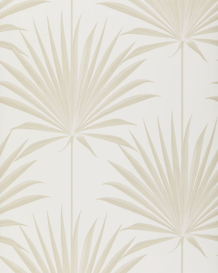 Island Palm Wallpaper added by Brandi Kambalov