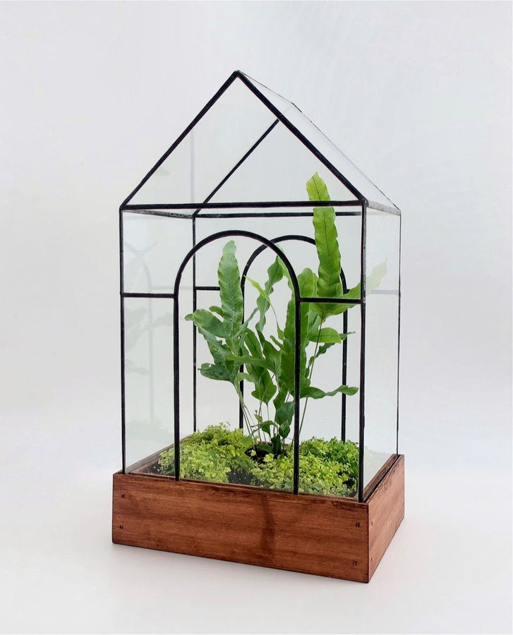 Temple Terrarium added by SHANNON HALL